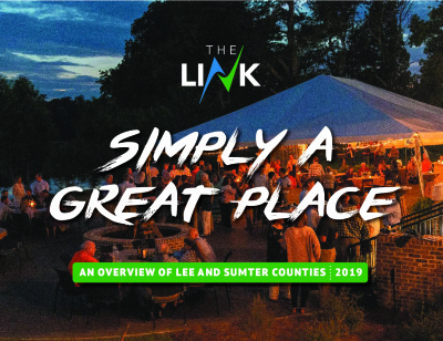 LINK Annual Report 2019 cover